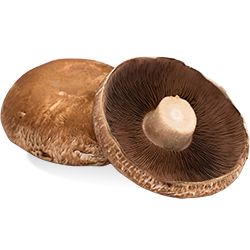 Photo de champignon Portobello