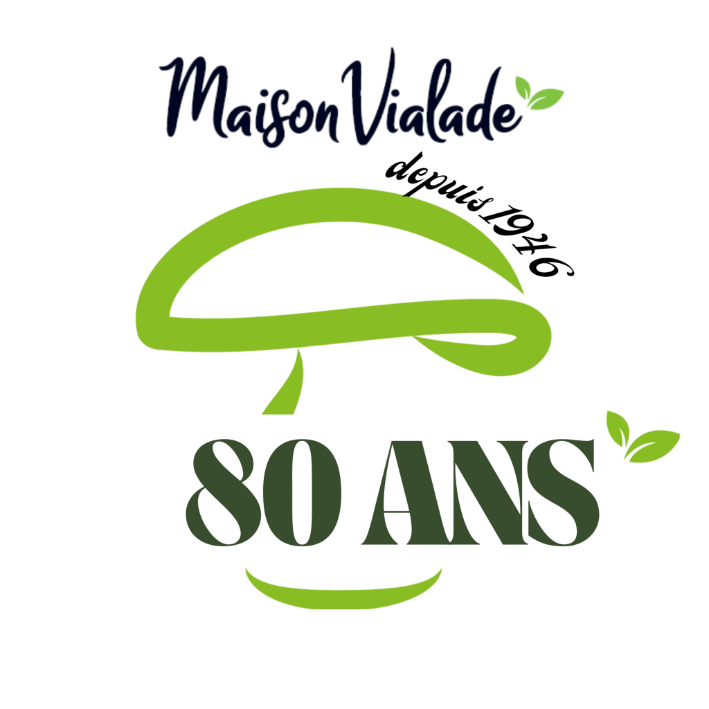 Logo 80 ans 1