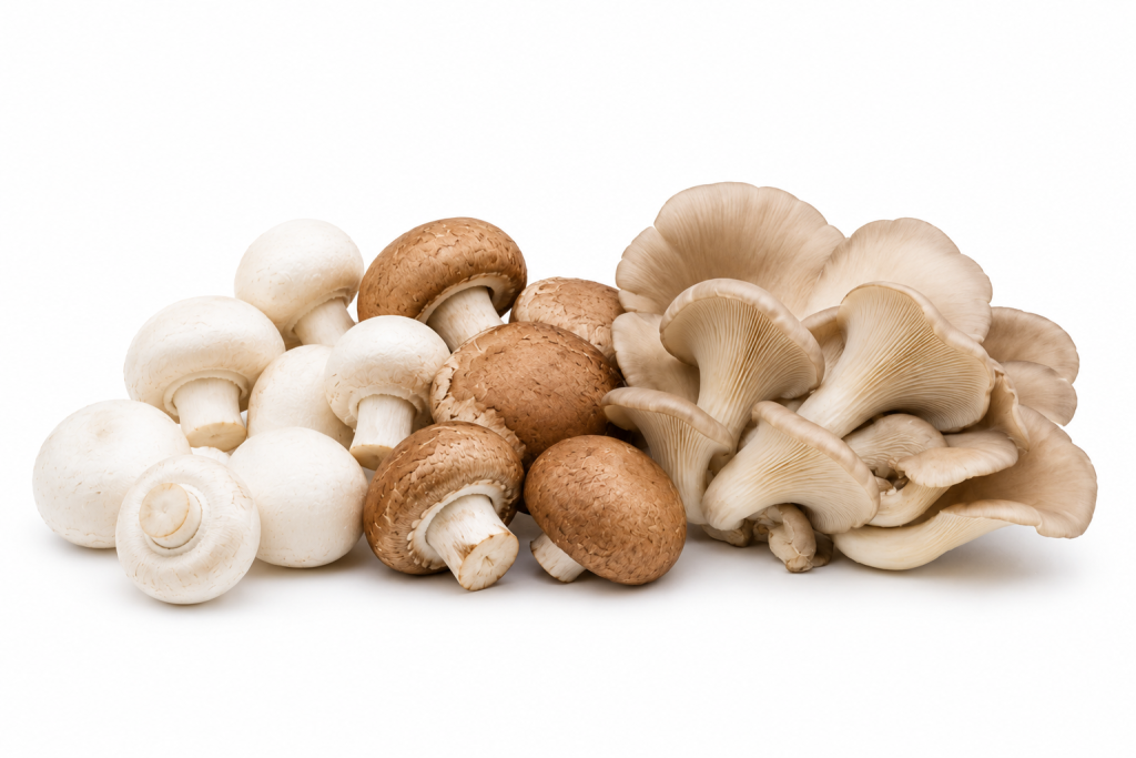 Champignons cultivés