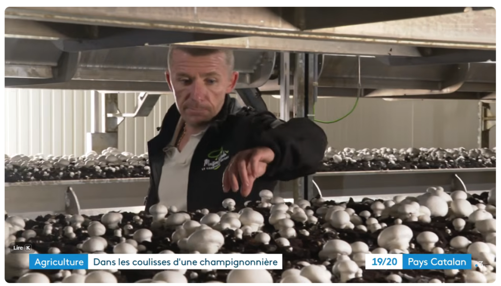 Reportage france 3